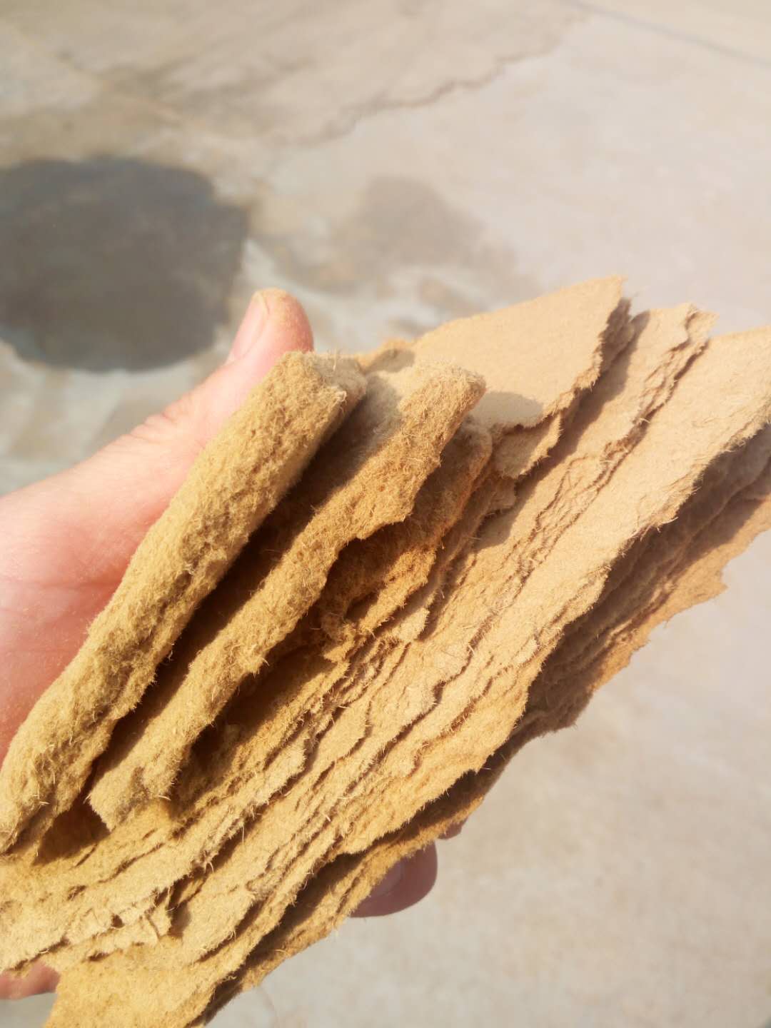 ����ľ��Ԕ��(x��)��B