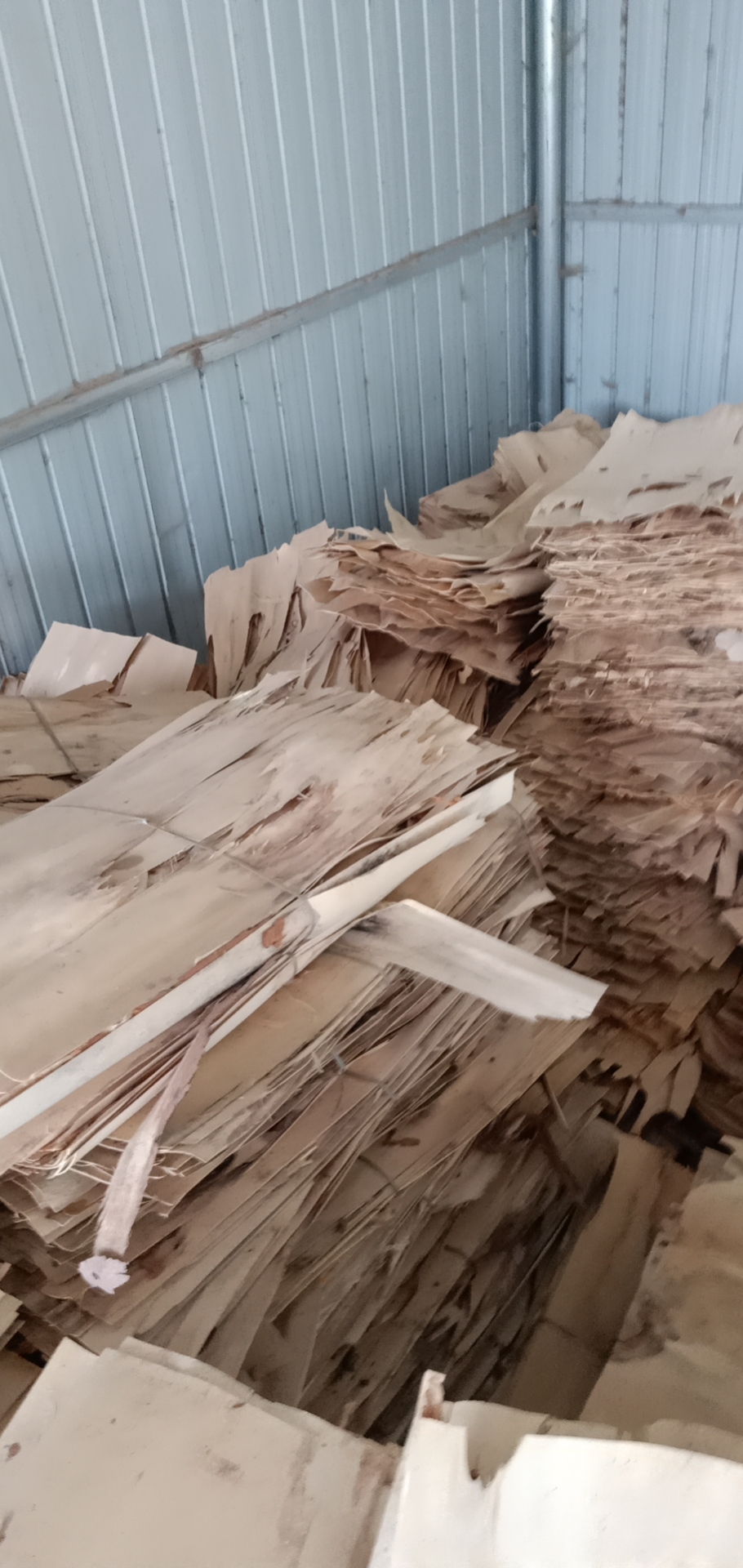 的詳細(xì)介紹