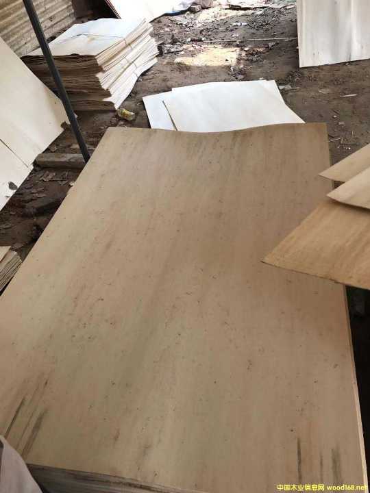  ��Ԕ����B