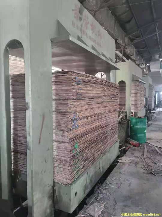  ��Ԕ��(x��)��B