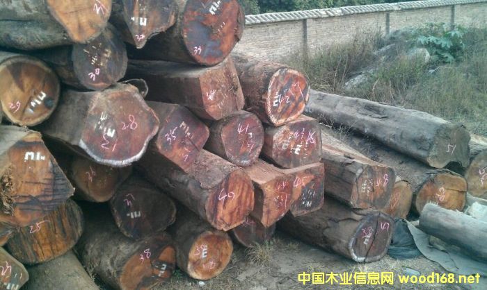 �������ϓ�������կ��Խ���^�m(x��)���P(gu��n)����t��֦ԭ�����Ĵ��M