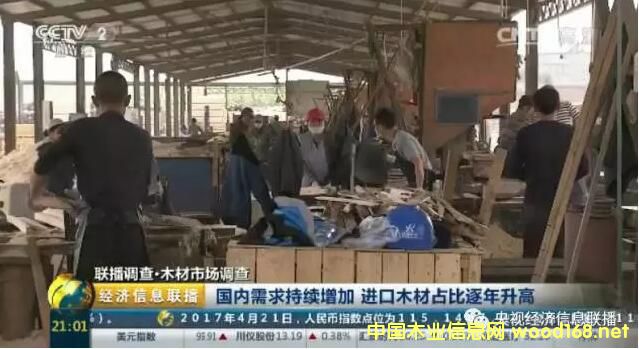 ��ҕľ���Ј��{(di��o)�飺�M(j��n)��ľ�Ĵ������ ľ���Q(m��o)��������խ�ɡ����\(y��n)