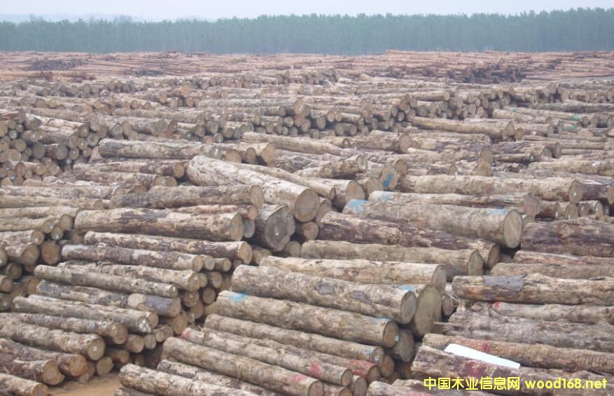 ľ���YԴ���H�l(f��)�����µ�ȫ��ľ�ĺ�ľ�Įa(ch��n)Ʒ�Ј����