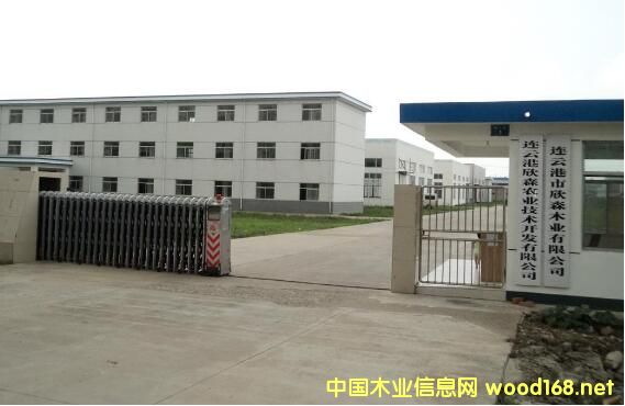 �B�Ƹ���ɭľ�I(y��)̓�����(b��o)��(gu��)���Y��3000�f(w��n) ���˺͸����p�p��z