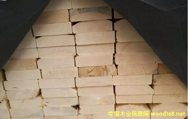 �q�r���ɱ� ��؛��M�磺5��ľ���Ј�չ��