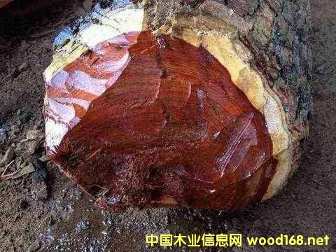 Ѫ̴���������ı���؟(z��)���Ƿ������Ї�ľ���Q(m��o)���̪��ԳГ�(d��n)��