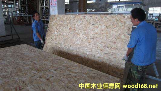 ������Ј�(ch��ng)�{(di��o)�Ј�(b��o)�棺�ٻ��������S���ƼҾ߿������L(zh��ng) OSB�@�l(f��)