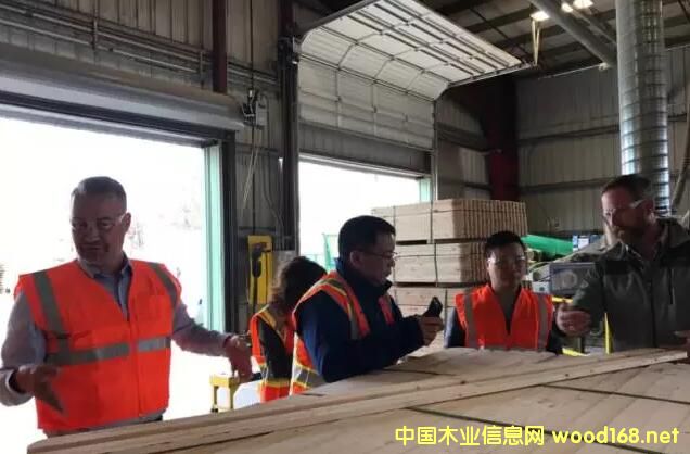 �������MGP���ݺ���Rexľ�ďS��2017������~�İ�Ŀ���