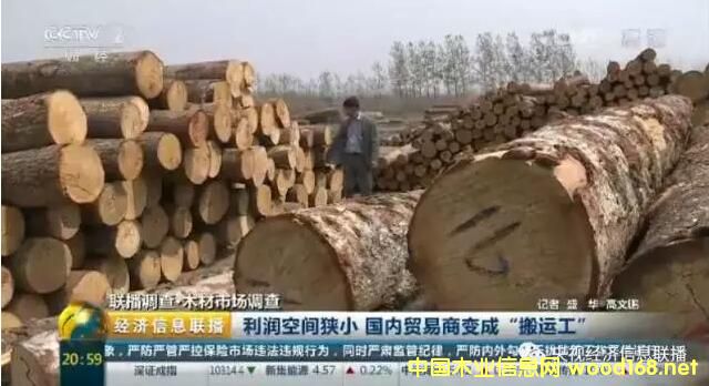 ��ҕľ���Ј��{(di��o)�飺�M��ľ�Ĵ������ ľ���Q(m��o)��������խ׃�ɡ���