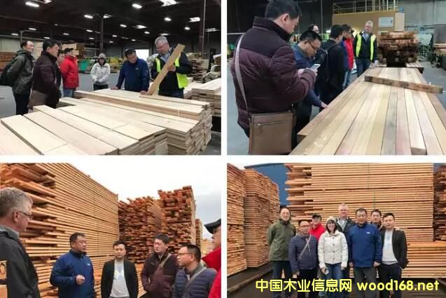 2017������~�İ�Ŀ���F�A�M�Y��