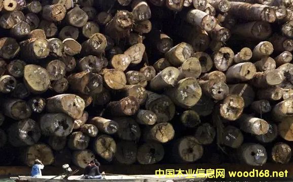 ���޼tľ����Խ��(l��i)Խ�y��δ��(l��i)�Ј�(ch��ng)�Ͽ��ütľ߀ʣ������