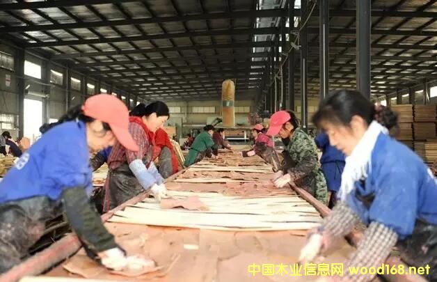 �����t�Aľ�I(y��)���a(ch��n)�N�����Ʉ���