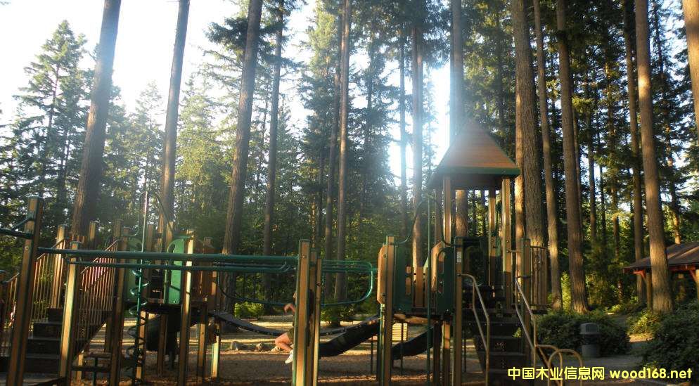 ľ�İٿƣ�������������ľ��Ԕ��