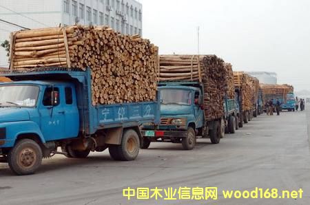 �V���ɞ����ϵ؅^(q��)��Ҫ��ľ���M(j��n)���ڰ�֮һ