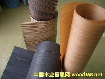 ȫ��Ƽ�ľ�Ј����L���^��2022�ꌢ�_413�|��Ԫ