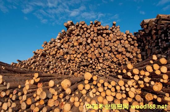 ���ô�߹��L�A���Nľ�� ���ܵ��Ї��Ј�����