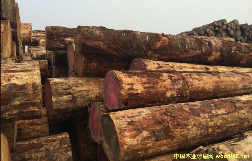 ��(y��u)�|�o�{׃ݗ���Ɏ��漱�������������_����؛ģʽ