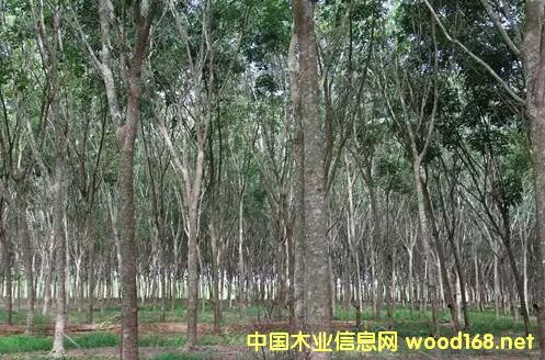 ���zľȱ؛�r��Ӹ߲�������ُ�ֻ̿��Ժ哌�����ڃr�������ܺ�