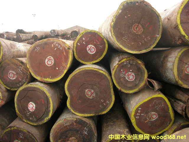 ���Hľ���Ј��^�죺�W��������(qi��ng)�����L�r(ji��)������