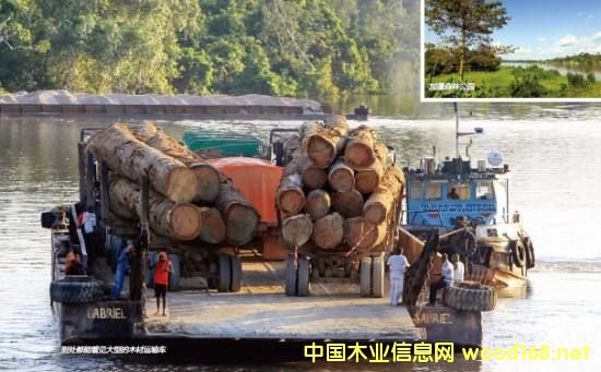 ��(gu��)�Hľ�Įa(ch��n)�I(y��)�@Ѳҕ֮---����FMC�Ҿ����a(ch��n)�N�ۼ�ɢ��