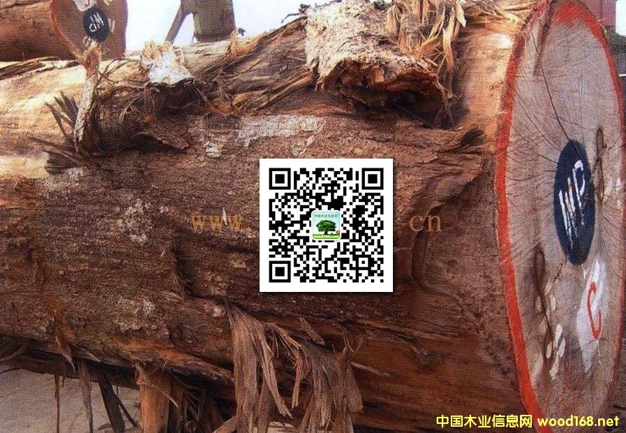 ľ�İٿƣ��S�O�ţ����ȸľ���S�u�ᡢ�ٽzľ��