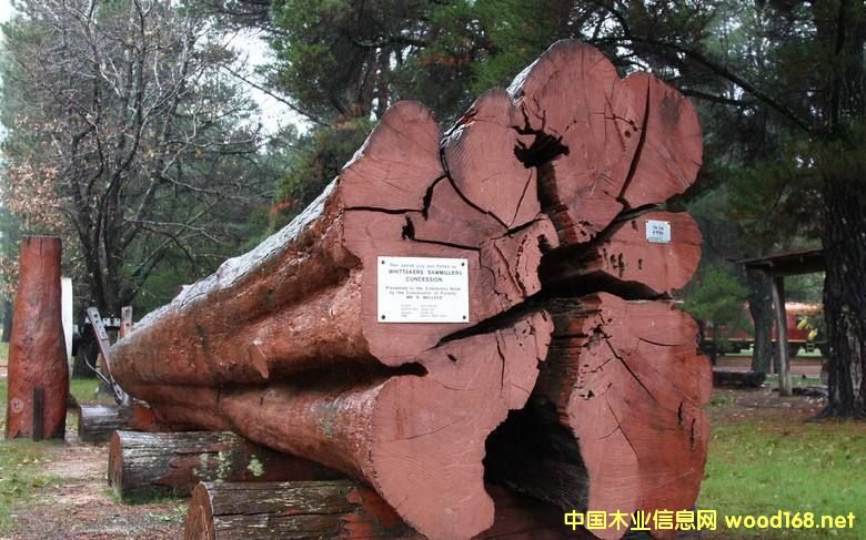 ľ�İٿƣ��Z��ľ���������׷Q����Ѫ̴