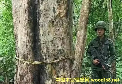 �����@80���F��˽��ľ��,�����ټӴ�����˽������