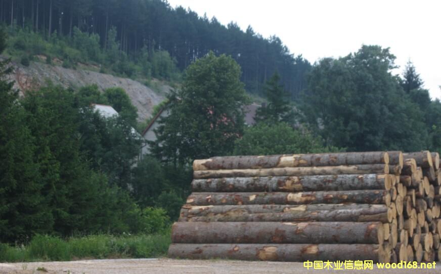 ���_�؁�ľ�Ĺ�˾����(zh��n)��2017��Ȳɷ����~����������