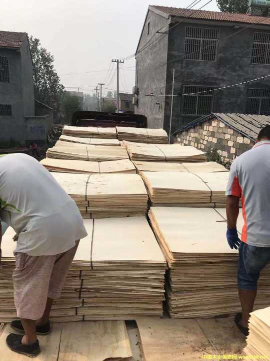 ���Ԕ��(x��)��B