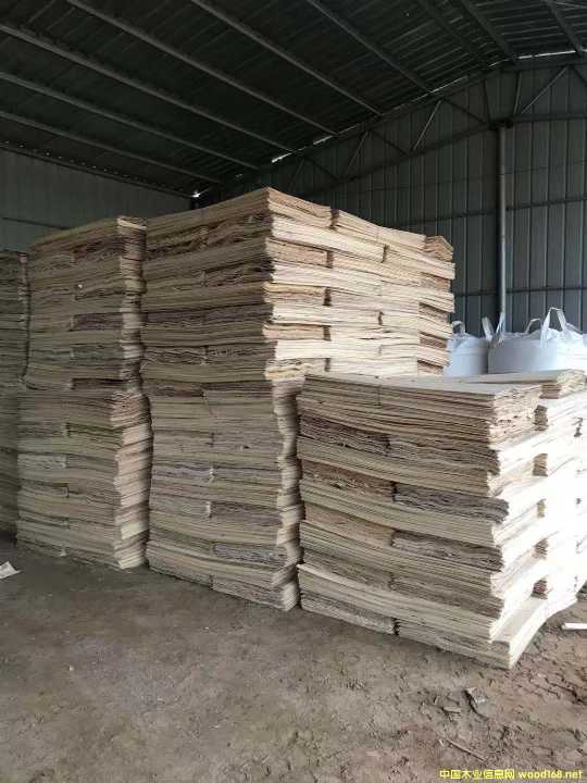 ���Ԕ��(x��)��B