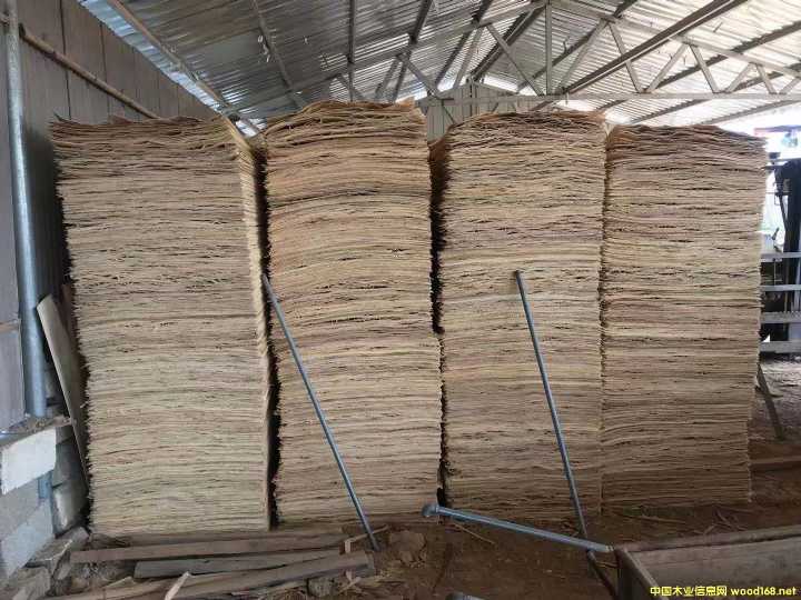 ���Ԕ��(x��)��B