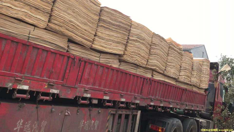 ���Ԕ��(x��)��B