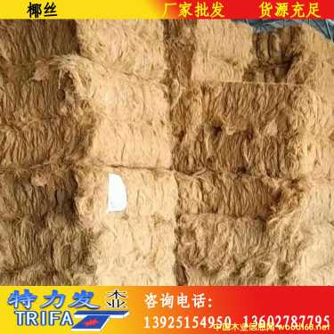 椰絲的詳細(xì)介紹