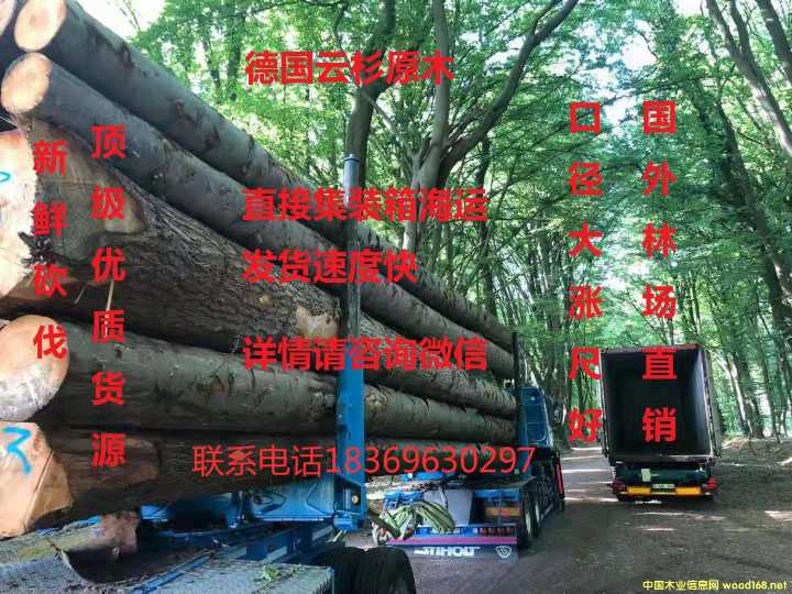 [��] ����ɼ�̲�