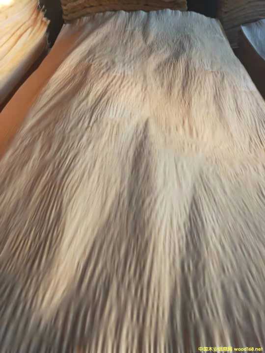 的詳細(xì)介紹