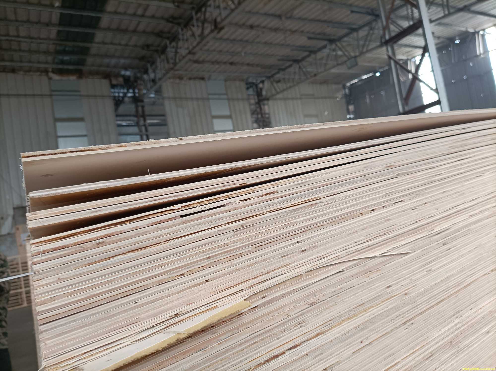  ��Ԕ����B