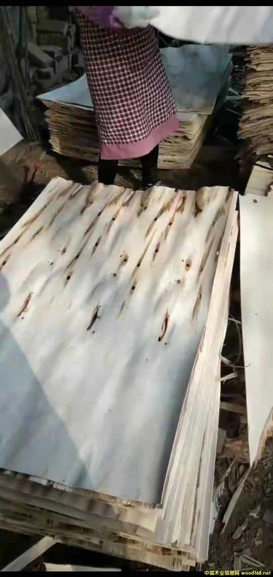 的詳細(xì)介紹