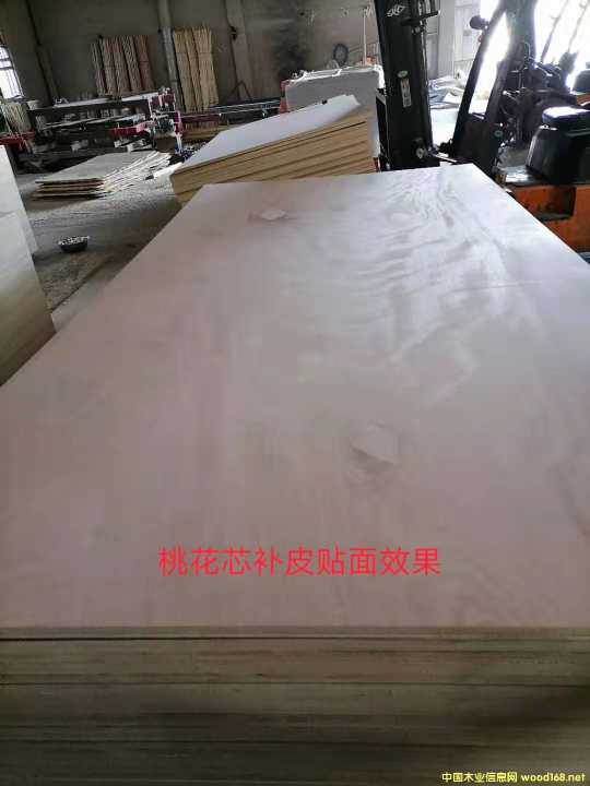 的詳細(xì)介紹