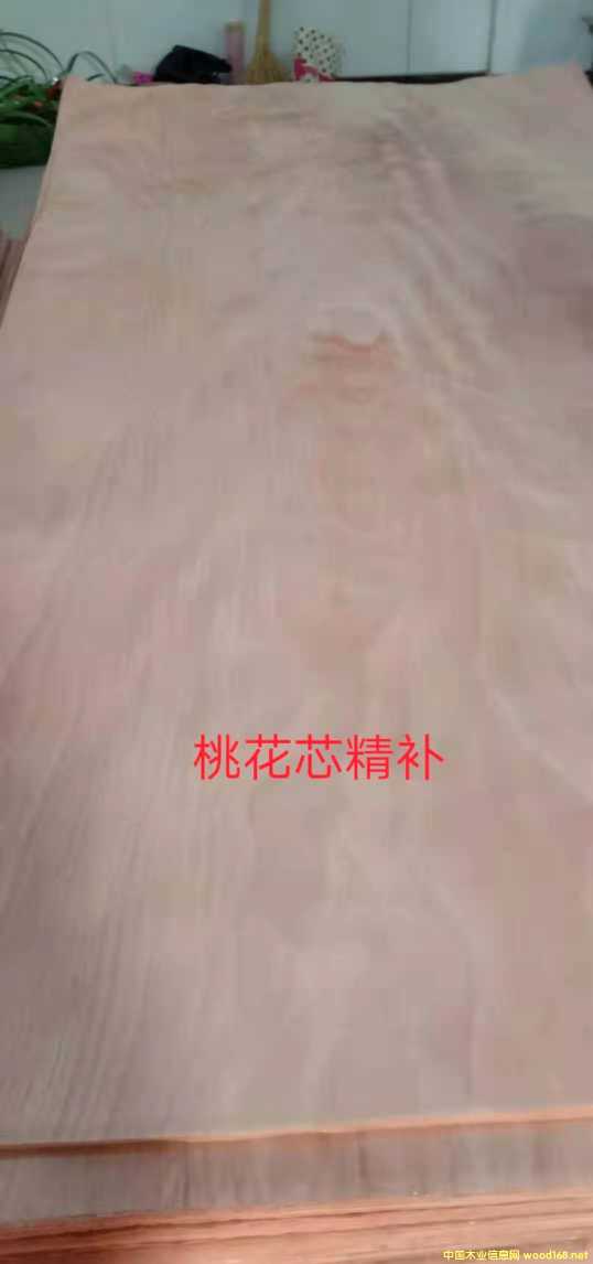 的詳細(xì)介紹