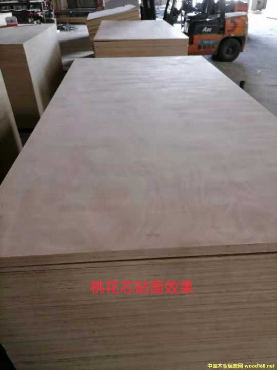 的詳細(xì)介紹