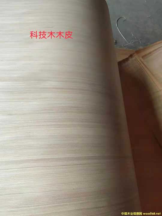 的詳細(xì)介紹