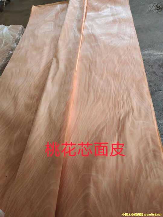 的詳細(xì)介紹