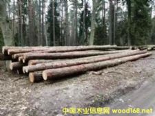 [��] ������ԭľ�L��