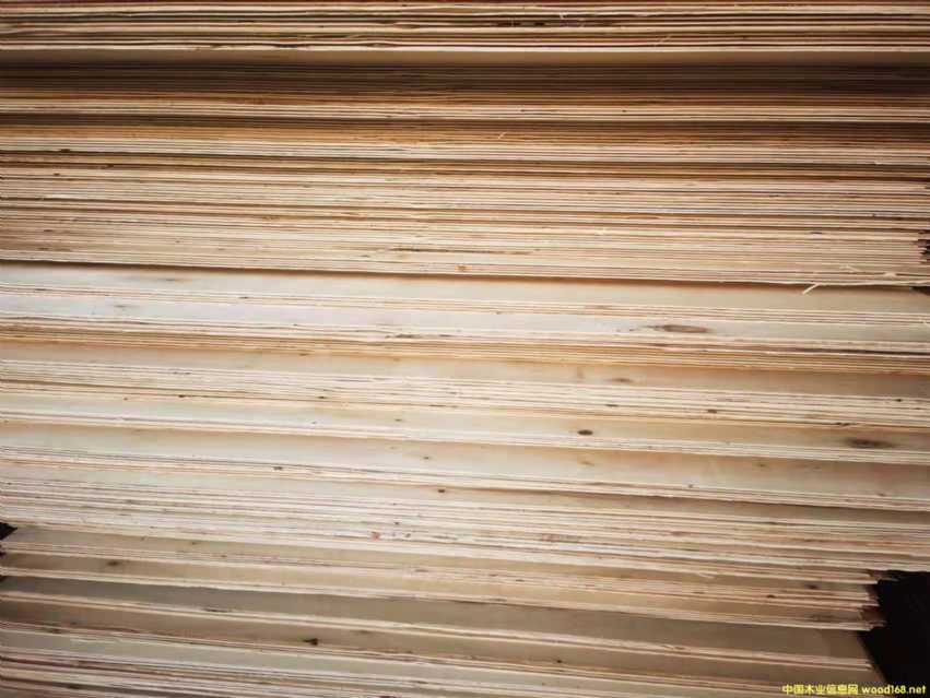 ������ȫ��ߙn�Ҿ߰����B(t��i)��