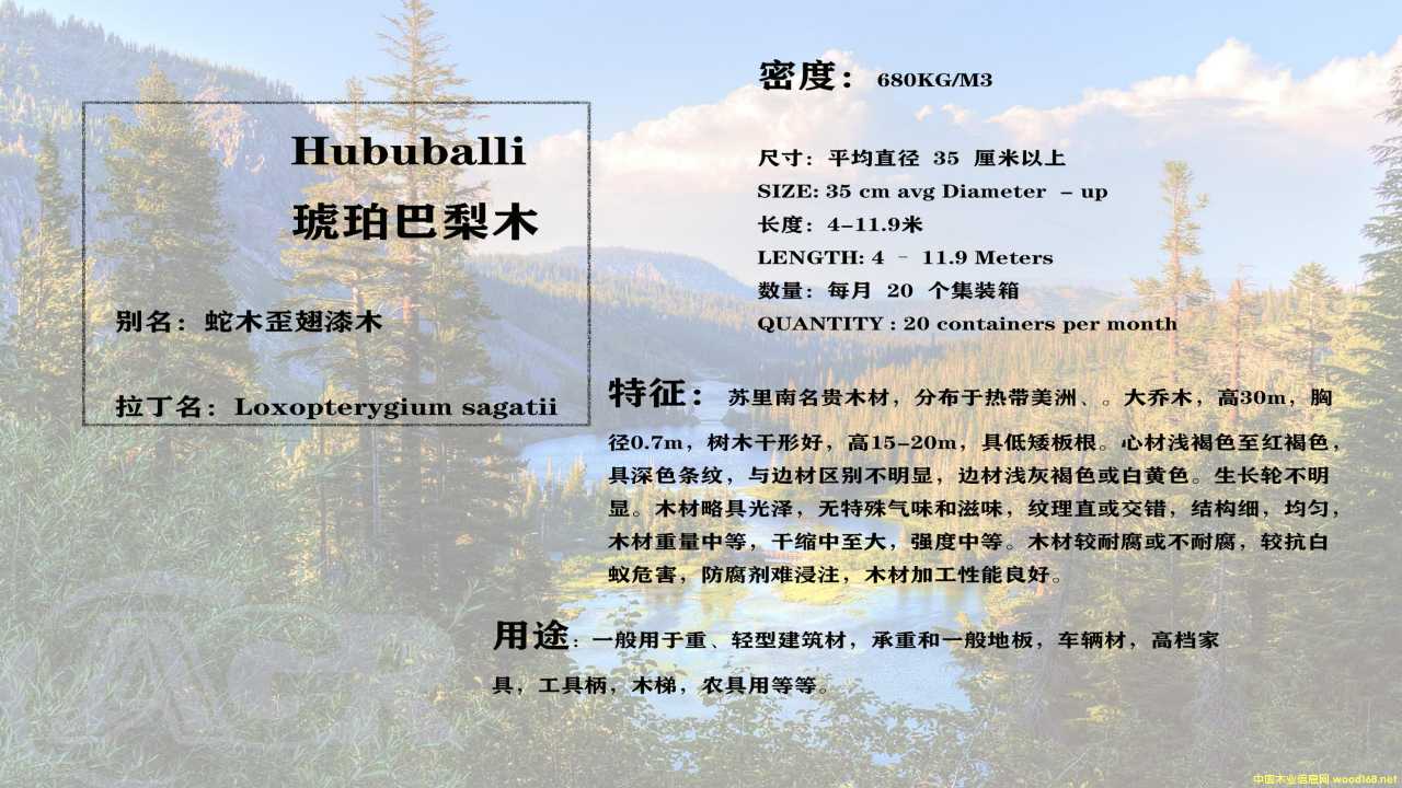 �������ľ