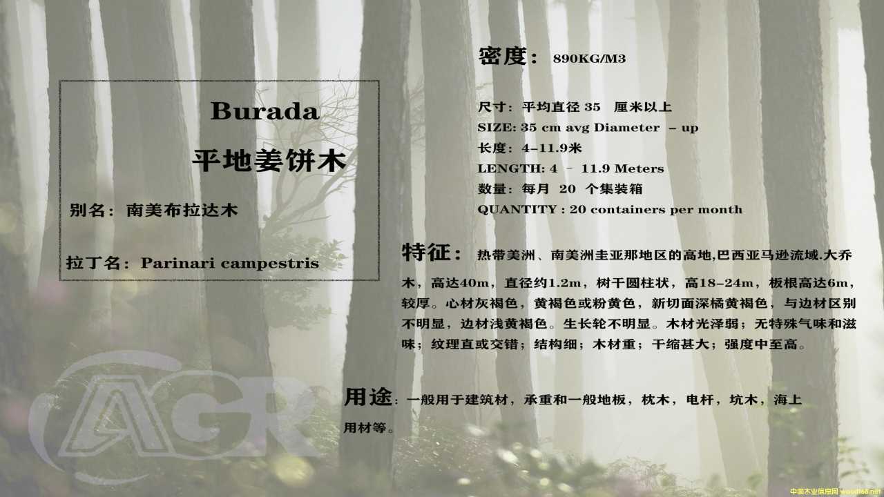 ƽ�ؽ��ľ��Ԕ����B