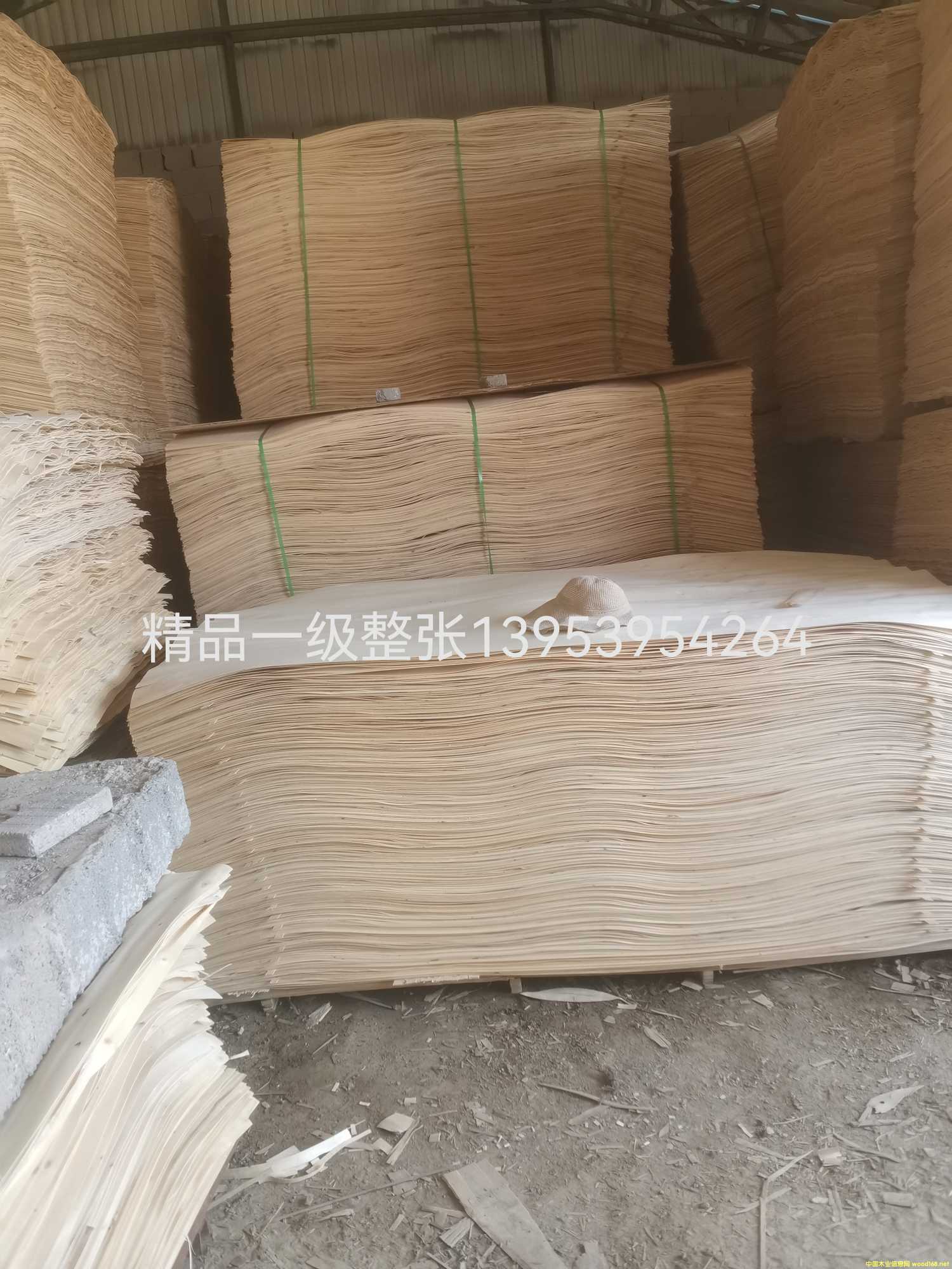 һ��(j��)������Ԕ��(x��)��B