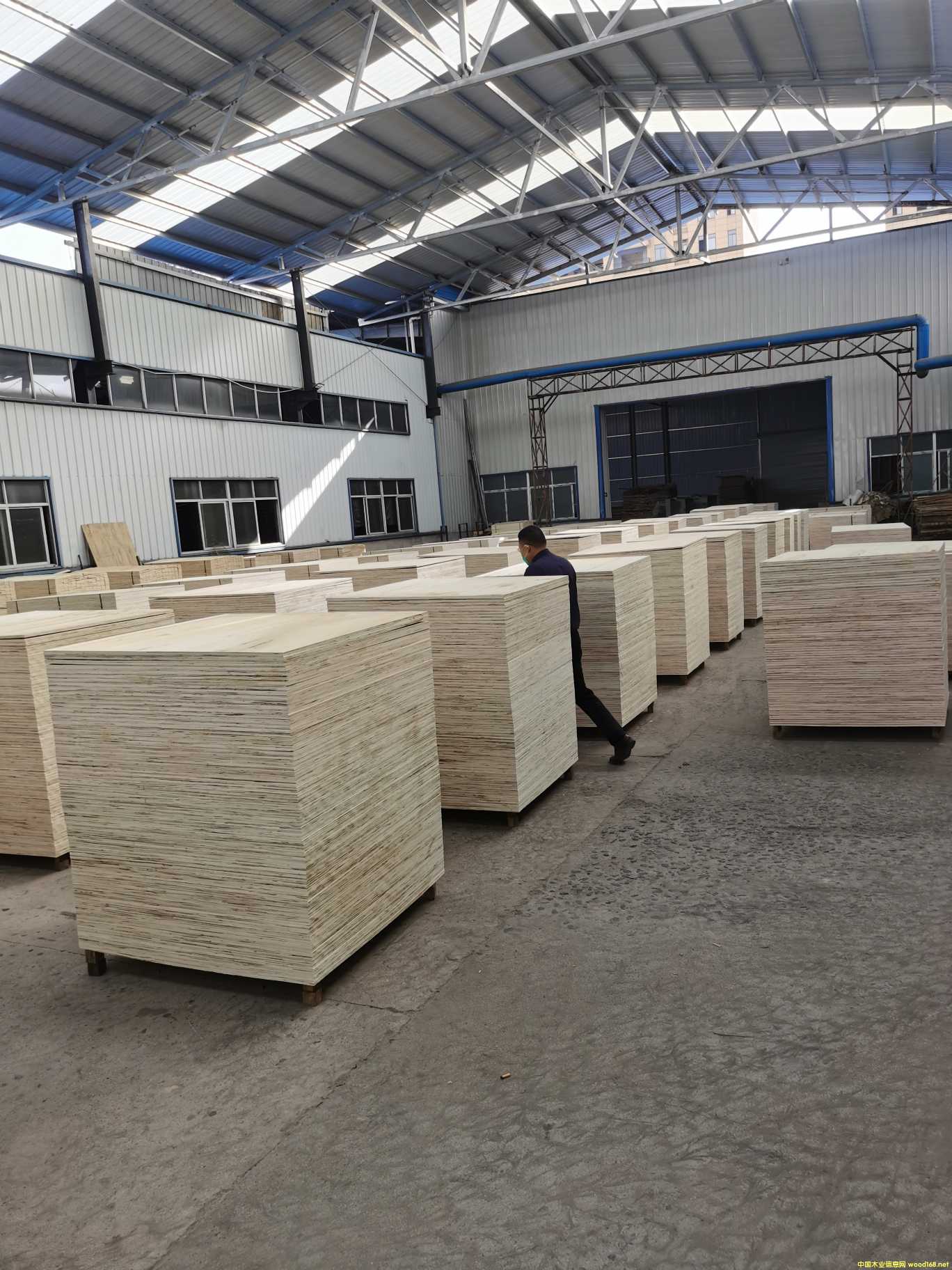 [��] �z�ϰ壬���b�����бP�������Ͱ���LVL���l