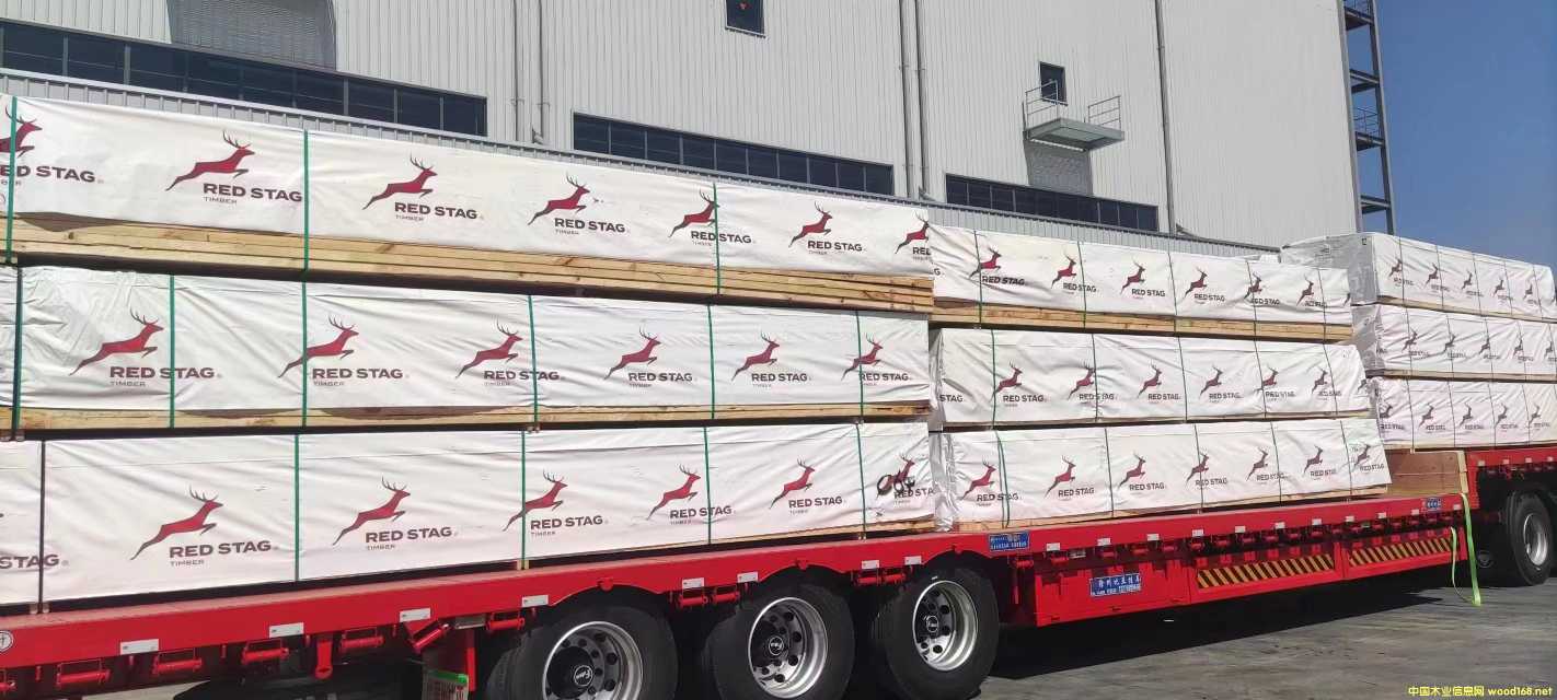 �����m�� ݗ���� �t¹��