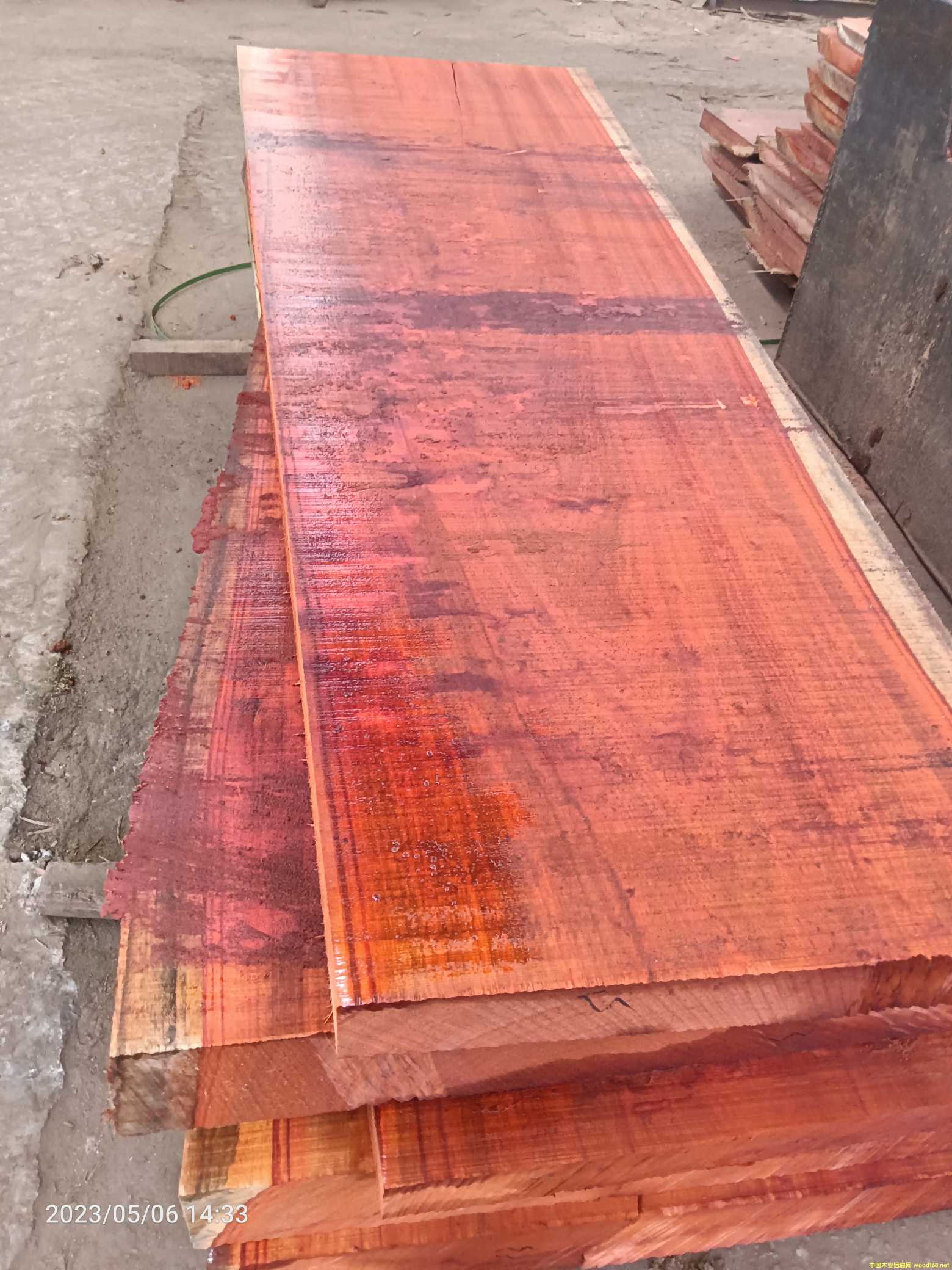 [��] ԭľ��Ĺ�ľ��